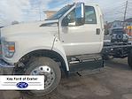 New 2024 Ford F-650 Regular Cab Cab Chassis thumbnail 5
