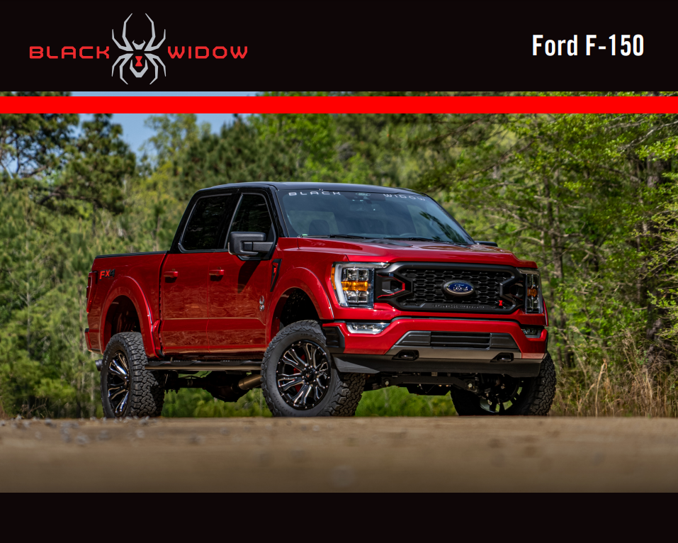 New 2025 Ford F-150 - photo 2