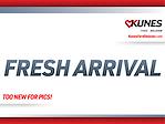 New 2026 Ford Transit 250 Low Roof Empty Cargo Van thumbnail 1