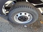 New 2026 Ford Transit 250 Medium Roof Empty Cargo Van thumbnail 2