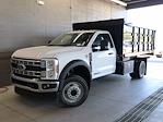 New 2025 Ford F-550 Regular Cab Cab Chassis thumbnail 1