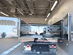 New 2025 Ford F-550 Regular Cab Cab Chassis thumbnail 6