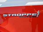 New 2025 Ford Bronco thumbnail 9