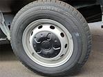New 2024 Ford Transit 250 Low Roof Empty Cargo Van thumbnail 5