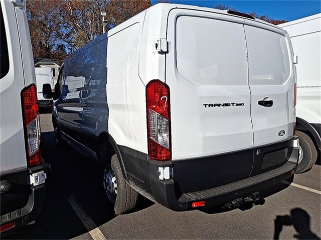 New 2026 Ford Transit 250 Low Roof Empty Cargo Van - photo 4