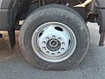 New 2023 Ford F-600 Regular Cab Cab Chassis thumbnail 5