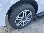 New 2026 Ford Expedition ACTIV thumbnail 2