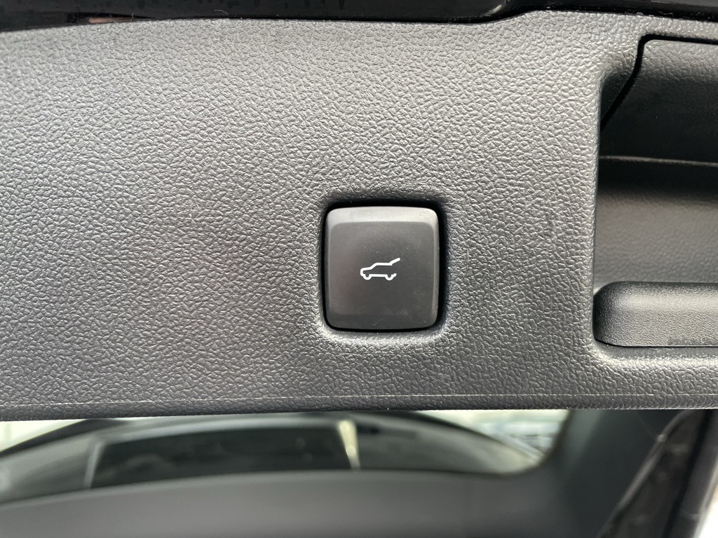 Used 2024 Ford Escape ST-Line - photo 37