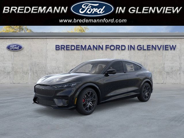New 2025 Ford Mustang Mach-E - photo 1