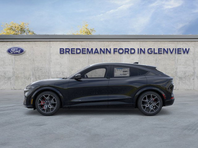 New 2025 Ford Mustang Mach-E GT - photo 3