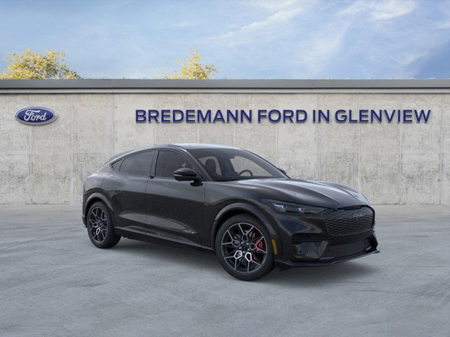 New 2025 Ford Mustang Mach-E GT - photo 7