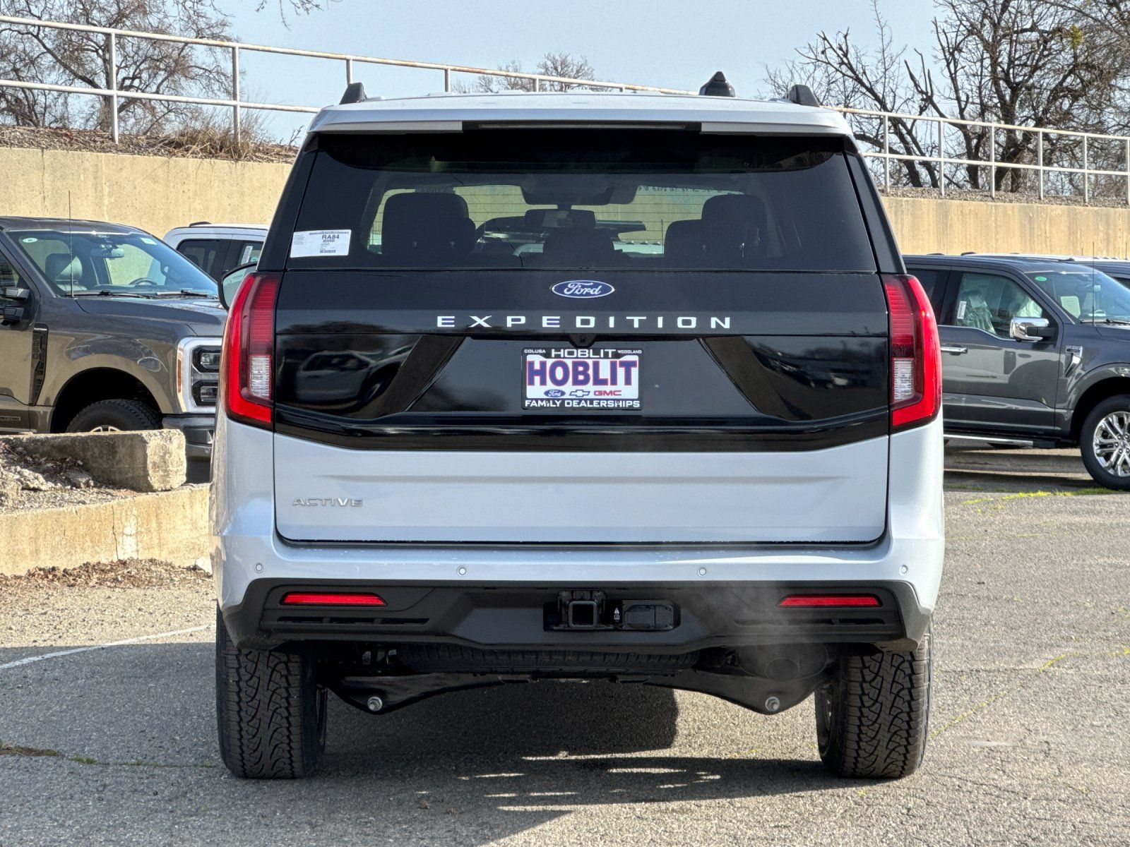 New 2026 Ford Expedition ACTIV - photo 3