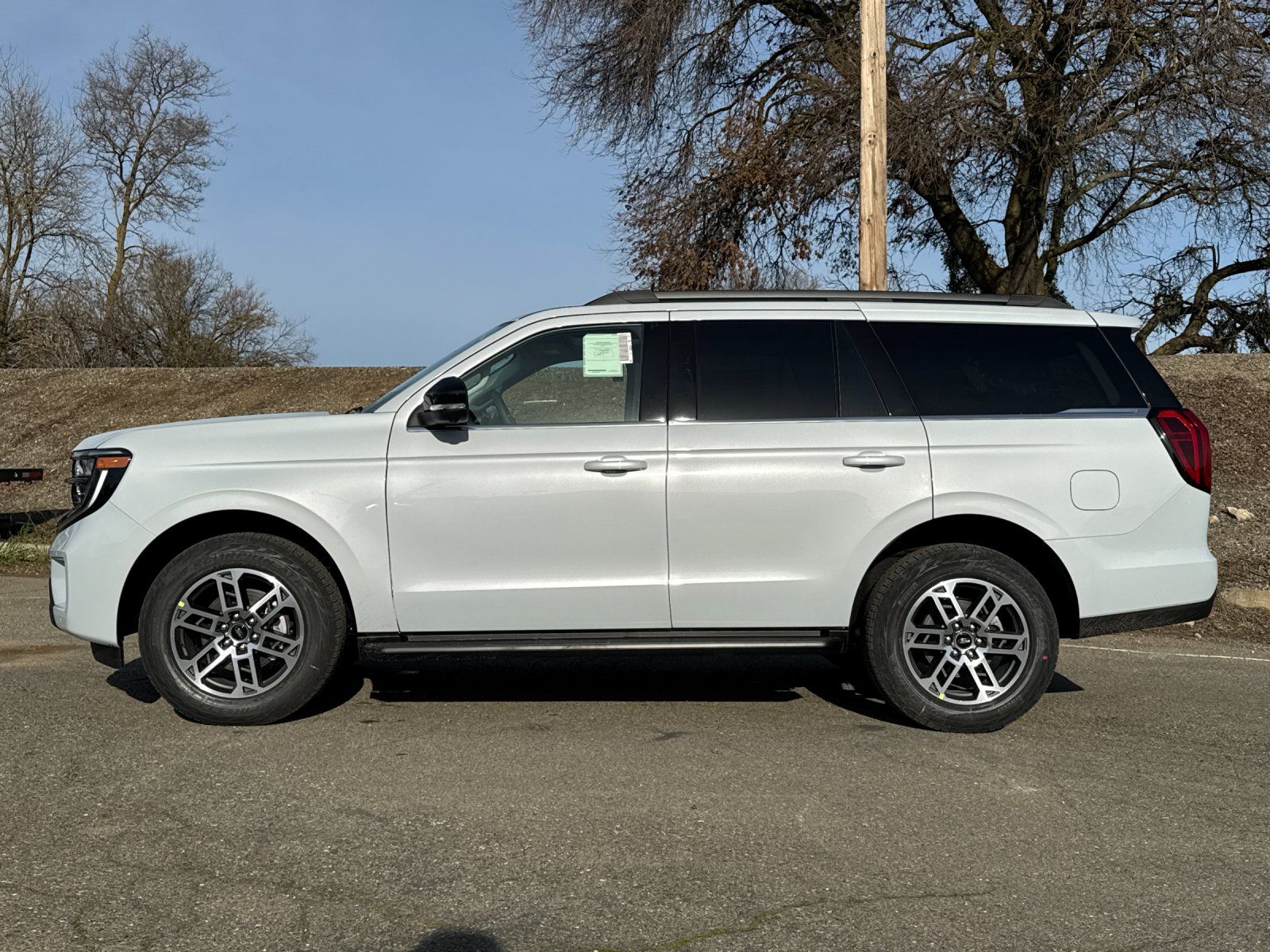 New 2026 Ford Expedition ACTIV - photo 5