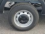 New 2026 Ford Transit 250 Low Roof Empty Cargo Van thumbnail 4