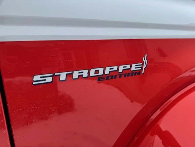 New 2025 Ford Bronco - photo 14