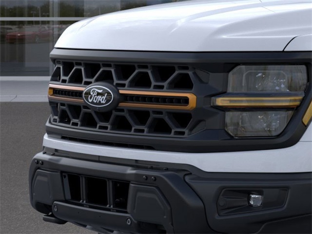 New 2025 Ford F-150 Tremor Crew Cab - photo 17