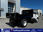 New 2025 Ford F-650 Regular Cab Cab Chassis thumbnail 1