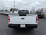 Used 2022 Ford F-150 XL Regular Cab thumbnail 4