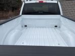 New 2026 Ford F-150 XL Regular Cab thumbnail 10