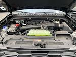 New 2025 Ford Expedition ACTIV thumbnail 2