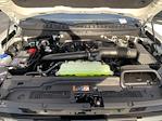New 2025 Ford Expedition ACTIV thumbnail 3