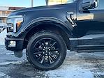 Used 2024 Ford F-150 Platinum SuperCrew Cab thumbnail 2