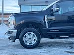 Used 2025 Ford F-250 XLT Regular Cab thumbnail 3
