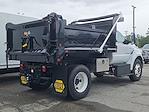 New 2025 Ford F-650 Regular Cab Cab Chassis thumbnail 5