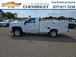 New 2024 Chevrolet Silverado 2500 Regular Cab Cab Chassis thumbnail 3