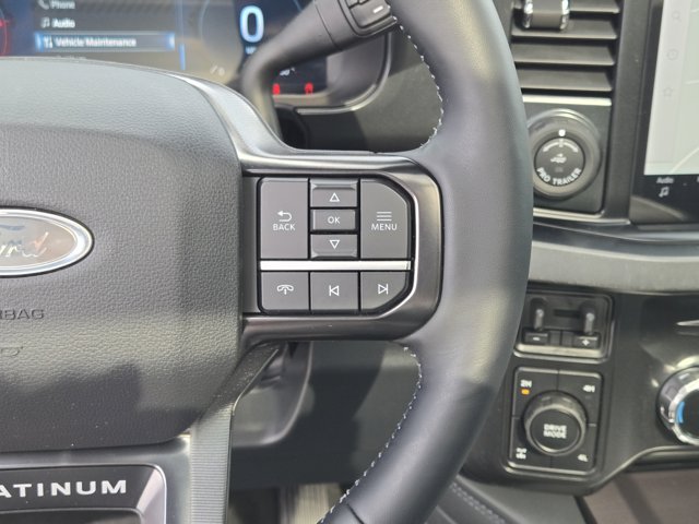 New 2026 Ford F-350 Platinum Crew Cab - photo 23