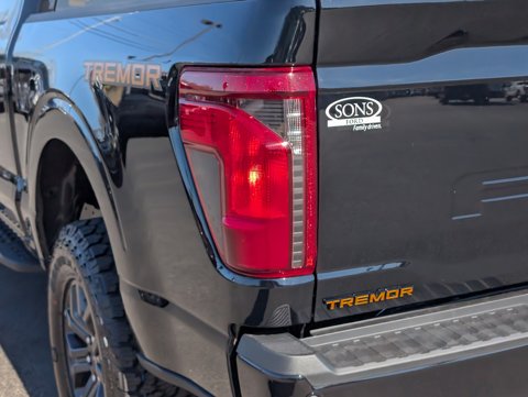 New 2026 Ford F-150 Tremor SuperCrew Cab - photo 11