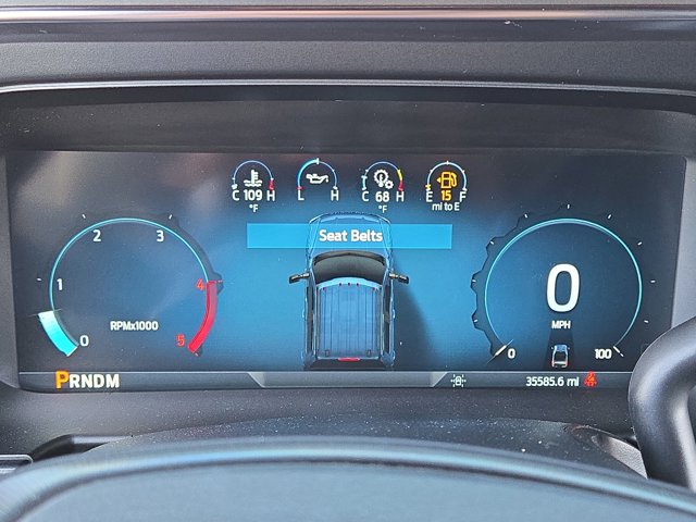 Used 2023 Ford F-450 Platinum Crew Cab - photo 30