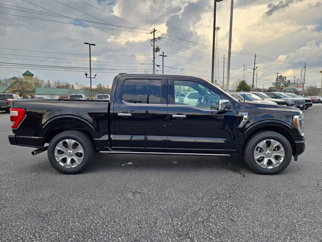 Used 2023 Ford F-150 Platinum SuperCrew Cab - photo 31