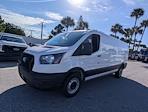 New 2026 Ford Transit 250 Low Roof Empty Cargo Van thumbnail 3