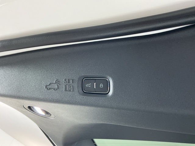 New 2026 Ford Expedition MAX ACTIV - photo 32