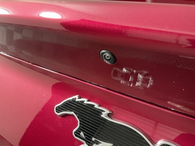 New 2025 Ford Mustang Mach-E Premium - photo 9