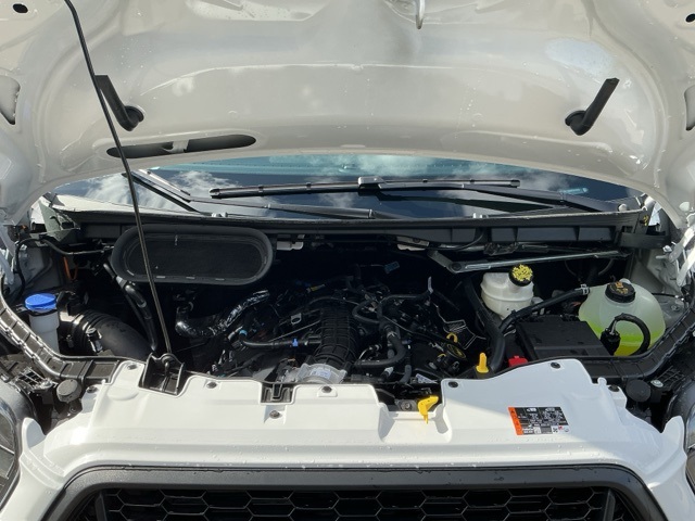 New 2025 Ford Transit 150 Low Roof Empty Cargo Van - photo 23