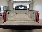 New 2025 Ford F-350 Regular Cab 4WD Pickup thumbnail 7