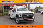 Used 2021 Ford F-550 Regular Cab Cab Chassis thumbnail 1