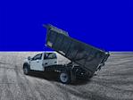 New 2025 Ford F-450 Regular Cab Cab Chassis thumbnail 4
