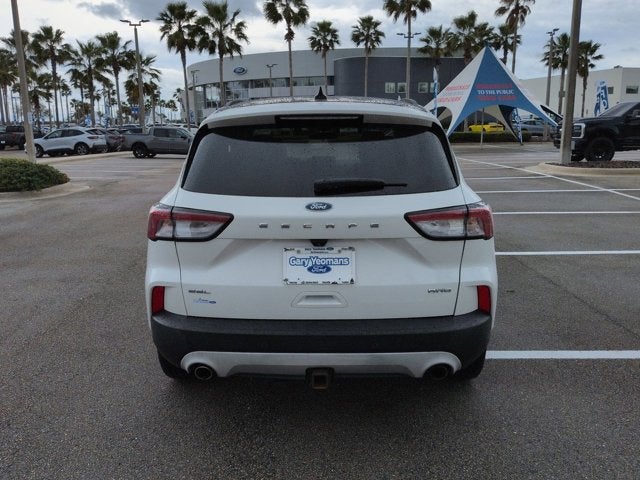Used 2020 Ford Escape SEL - photo 5