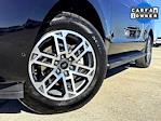 Used 2025 Ford Expedition ACTIV thumbnail 1