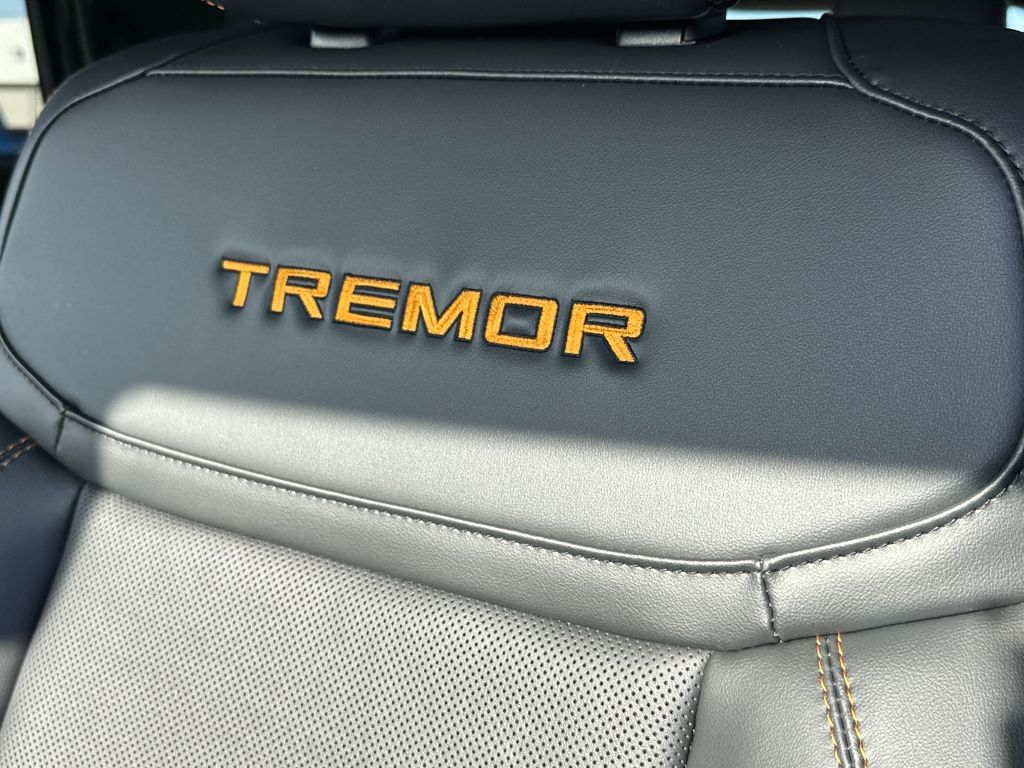 New 2026 Ford Expedition Tremor - photo 17