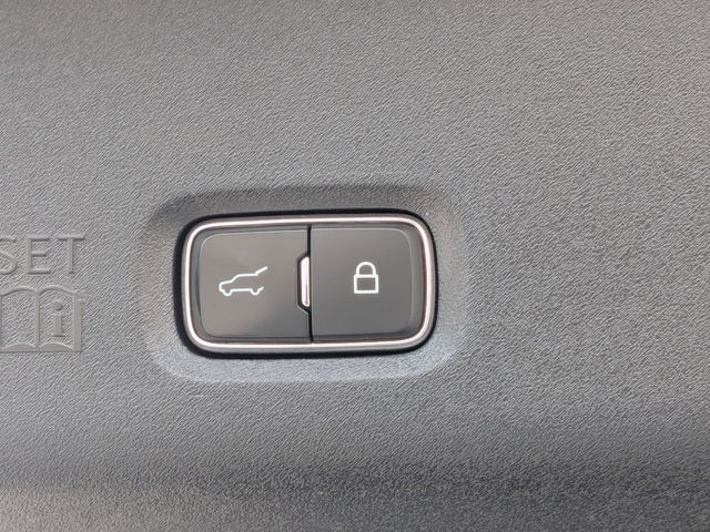 Used 2025 Ford Expedition MAX Platinum - photo 29