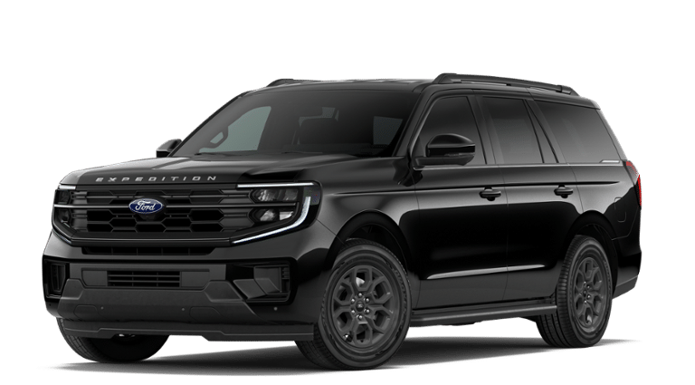 New 2026 Ford Expedition ACTIV - photo 3