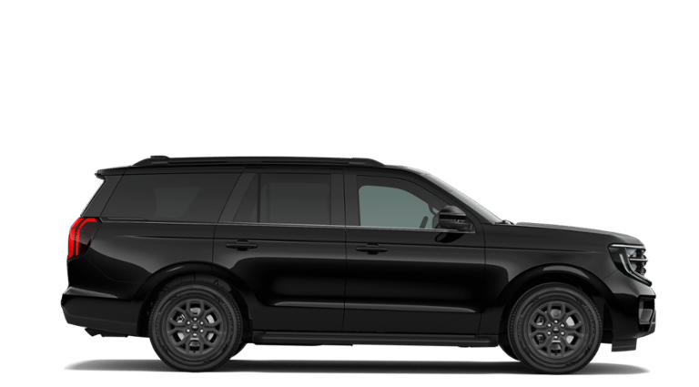 New 2026 Ford Expedition ACTIV - photo 7