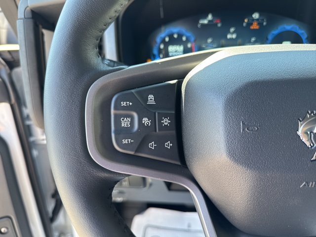 New 2025 Ford Bronco Badlands - photo 17