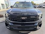 New 2025 Ford Expedition Platinum thumbnail 3