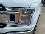 Used 2019 Ford F-150 XL Regular Cab thumbnail 3