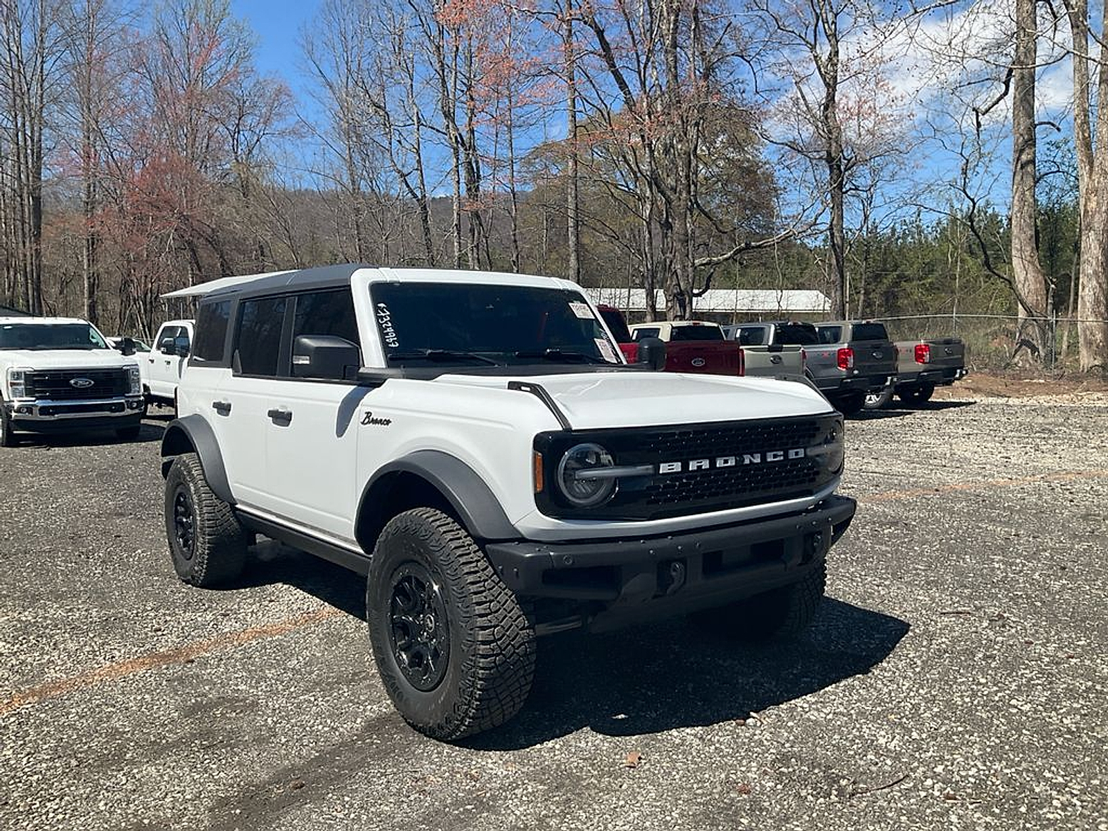 Used 2022 Ford Bronco Wildtrak - photo 3
